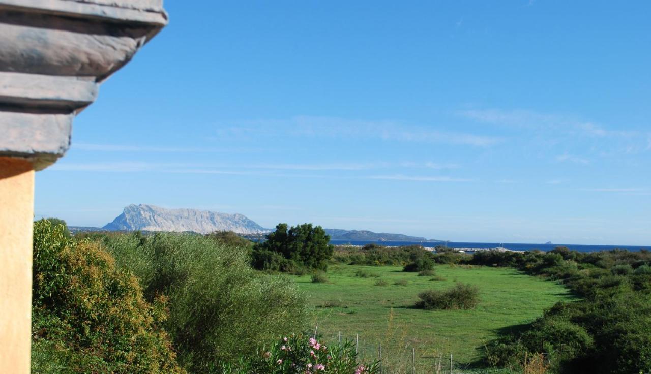 Residence Oasi E Oasi Blu San Teodoro  Kültér fotó