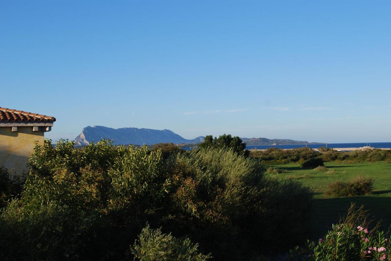Residence Oasi E Oasi Blu San Teodoro  Kültér fotó